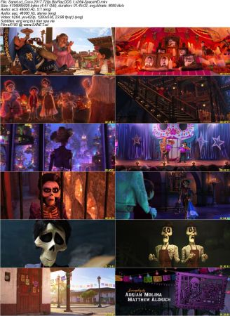 Coco 2017 720p BluRay DD5.1 x264-SpaceHD