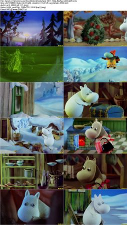 Moomins and the Winter Wonderland 2017 720p BluRay x264-WiKi