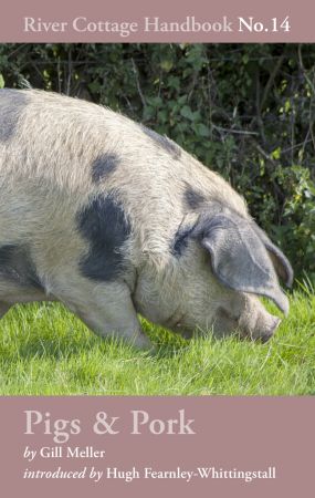 Pigs &amp; Pork: River Cottage Handbook No.14
