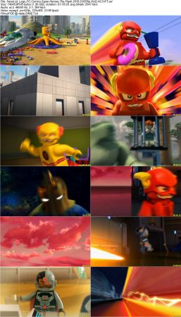 Lego DC Comics Super Heroes The Flash 2018 DVDRip XviD AC3-iFT