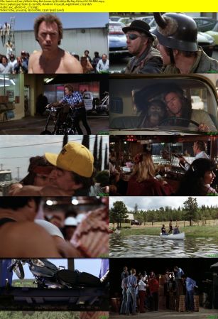Every Which Way But Loose 1978 1080p BluRay H264 AAC-RARBG