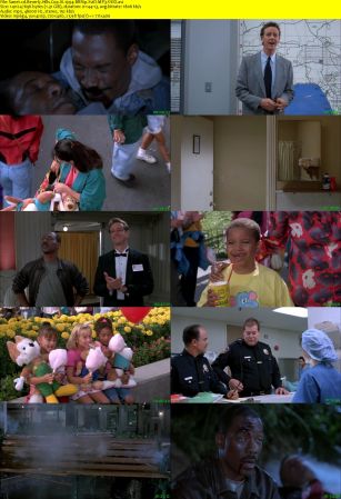 Beverly Hills Cop III 1994 BRRip XviD MP3-XVID