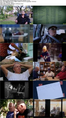 Aidas Secrets 2016 LiMiTED DVDRip x264-LPD