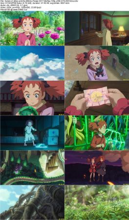 Mary and the Witchs Flower 2017 BluRay 720p x264 DTS-HDChina