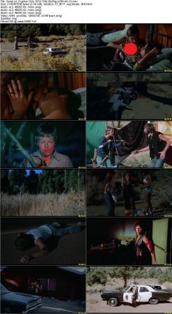 Fugitive Girls 1974 720p BluRay x264-x0r