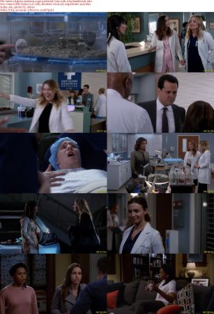 Greys Anatomy S14E14 iNTERNAL 720p WEB x264-BAMBOOZLE