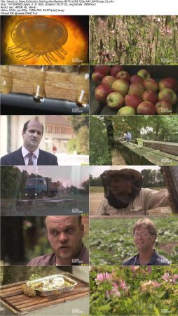 Mona Lisa Production - Bees Extinction Solving the Mystery 2008 720p AAC MVGroup