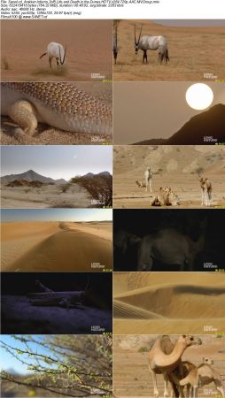 Blink Films - Arabian Inferno 2017 HDTV x264 720p AAC MVGroup