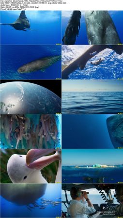 Blue Planet II S01 720p BRRip x264 AAC DiVERSiTY
