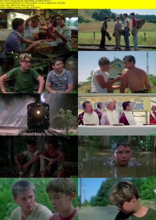 Stand By Me 1986 BRRip XviD MP3-XVID