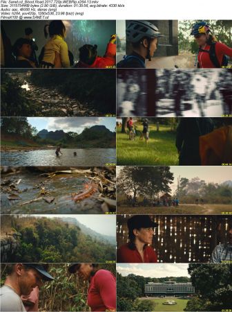 Blood Road 2017 720p WEBRip x264-13