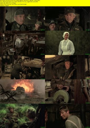 Cross of Iron 1977 1080p BluRay x264 DTS 5.1 MSubS Hon3y