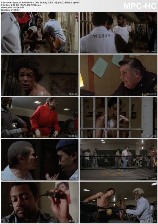 Penitentiary 1979 BluRay 10Bit 1080p AC3 H265-d3g