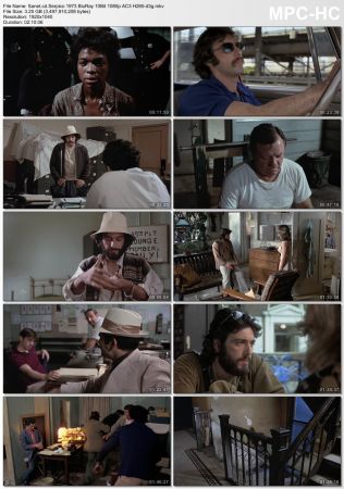 Serpico 1973 BluRay 10Bit 1080p AC3 H265-d3g