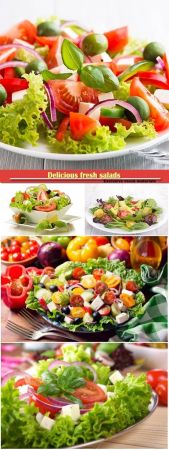 Delicious fresh salads
