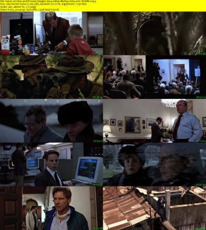 Clear and Present Danger 1994 1080p BluRay H264 AAC-RARBG