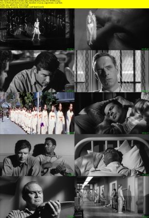 Shock Corridor 1963 1080p BluRay H264 AAC-RARBG