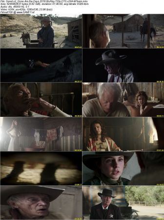 Gone Are the Days 2018 BluRay 720p DTS x264-MTeam