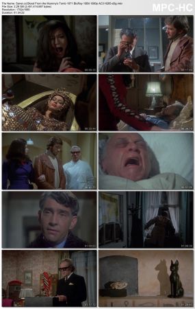 Blood From the Mummys Tomb 1971 BluRay 10Bit 1080p AC3 H265-d3g