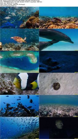 Blue Planet II S01 720p BRRip x264 AAC DiVERSiTY