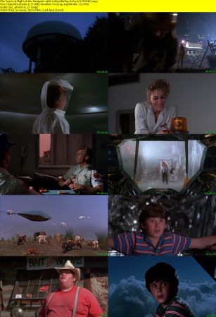 Flight of the Navigator 1986 1080p BluRay H264 AAC-RARBG
