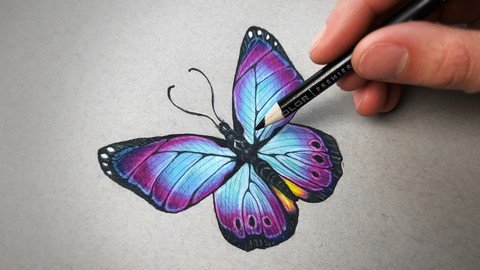 The Colored Pencil drawing Course - Beginner to Advanced