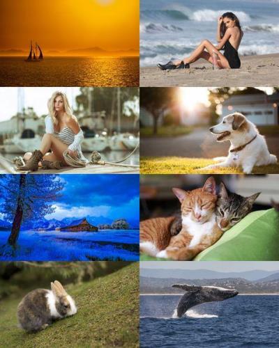 Desktop Wallpapers Mixed Pack 664