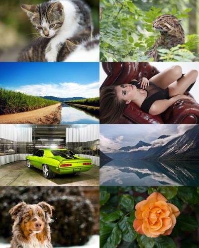 Desktop Wallpapers Mixed Pack 658