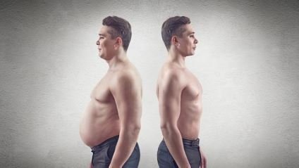 The Ultimate Fat Loss Transformation Program