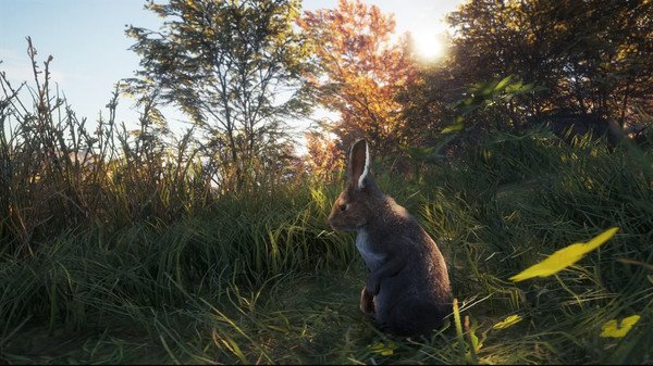 TheHunter Call of the Wild New Species 2018-CODEX