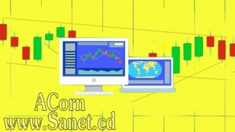 Technical Analysis 101: Master the Basics of Trading
