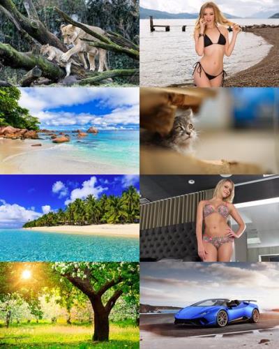 Desktop Wallpapers Mixed Pack 659