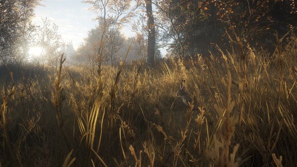 TheHunter Call of the Wild New Species 2018-CODEX