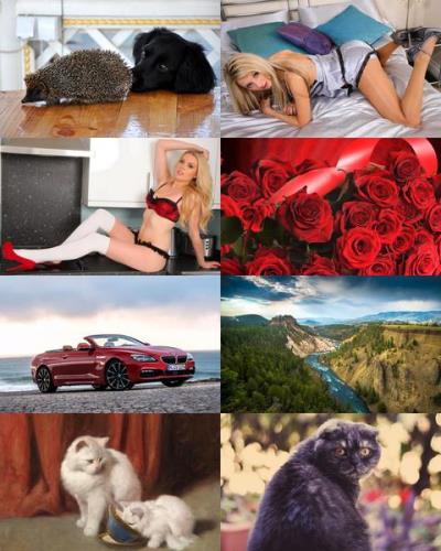 Desktop Wallpapers Mixed Pack 669