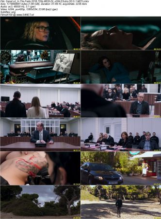In The Fade 2018 720p WEB-DL x264 ESubs DD 5.1-M2Tv