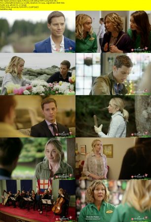 Once Upon A Prince 2018 1080p HDTV x264-W4F