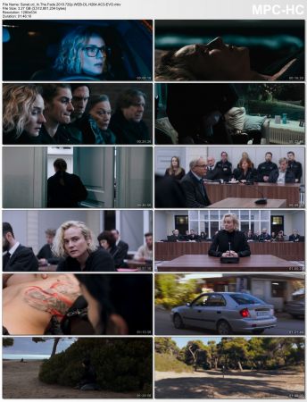 In The Fade 2018 720p WEB-DL H264 AC3-EVO