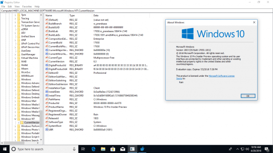Windows 10 Redstone 5 17650.1001.180414-2140 (x86x64) Aio 8in2