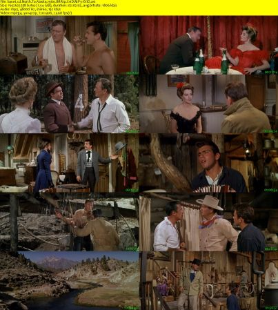 North To Alaska 1960 BRRip XviD MP3-XVID