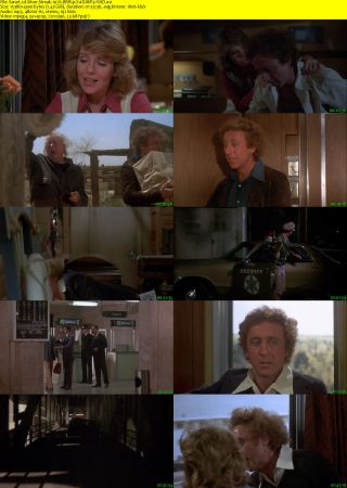 Silver Streak 1976 BRRip XviD MP3-XVID