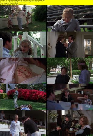 The World According to Garp 1982 1080p BluRay H264 AAC-RARBG