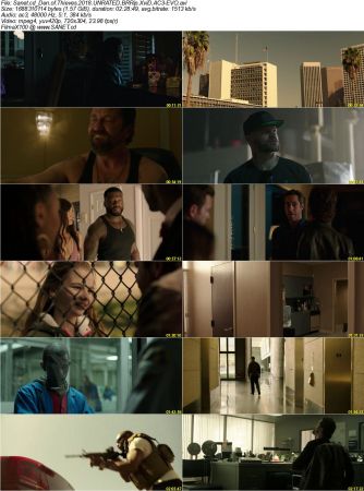 Den of Thieves 2018 UNRATED BRRip XviD AC3-EVO