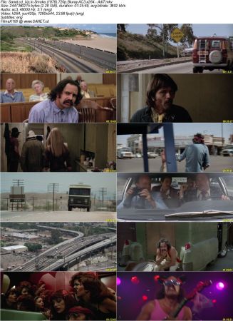 Up in Smoke 1978 720p Bluray AC3 x264 AdiT