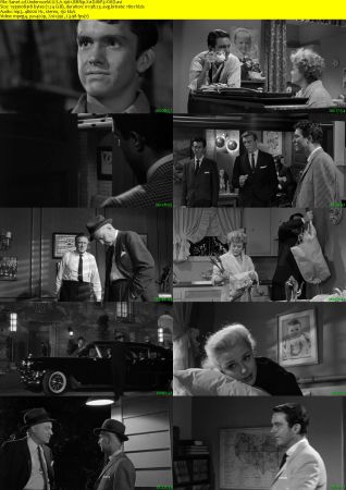 Underworld U.S.A. 1961 BRRip XviD MP3-XVID