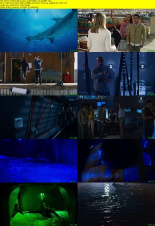 Deep Blue Sea 2 2018 BDRip x264-VoMiT