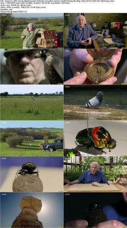 BBC - David Attenboroughs Natural Curiosities Series 4 2018 720p HDTV x264 AAC MVGroup