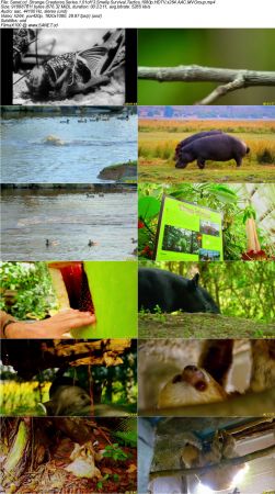 BlueAntMedia - Strange Creatures Series 1 2017 1080p HDTV x264 AAC MVGroup