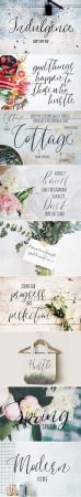 CM - Indulgence Script Font Duo 1593458
