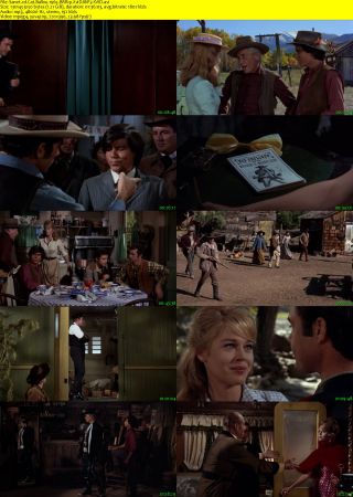 Cat Ballou 1965 BRRip XviD MP3-XVID