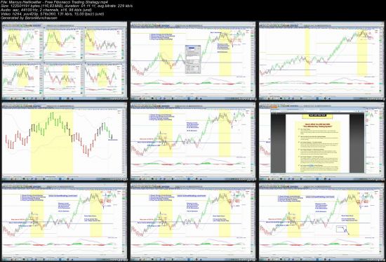 Big Mike Trading Webinars
